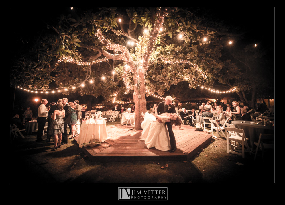Groom dips Bride under the Big Tree - Inn Marin Novato Wedding Photos