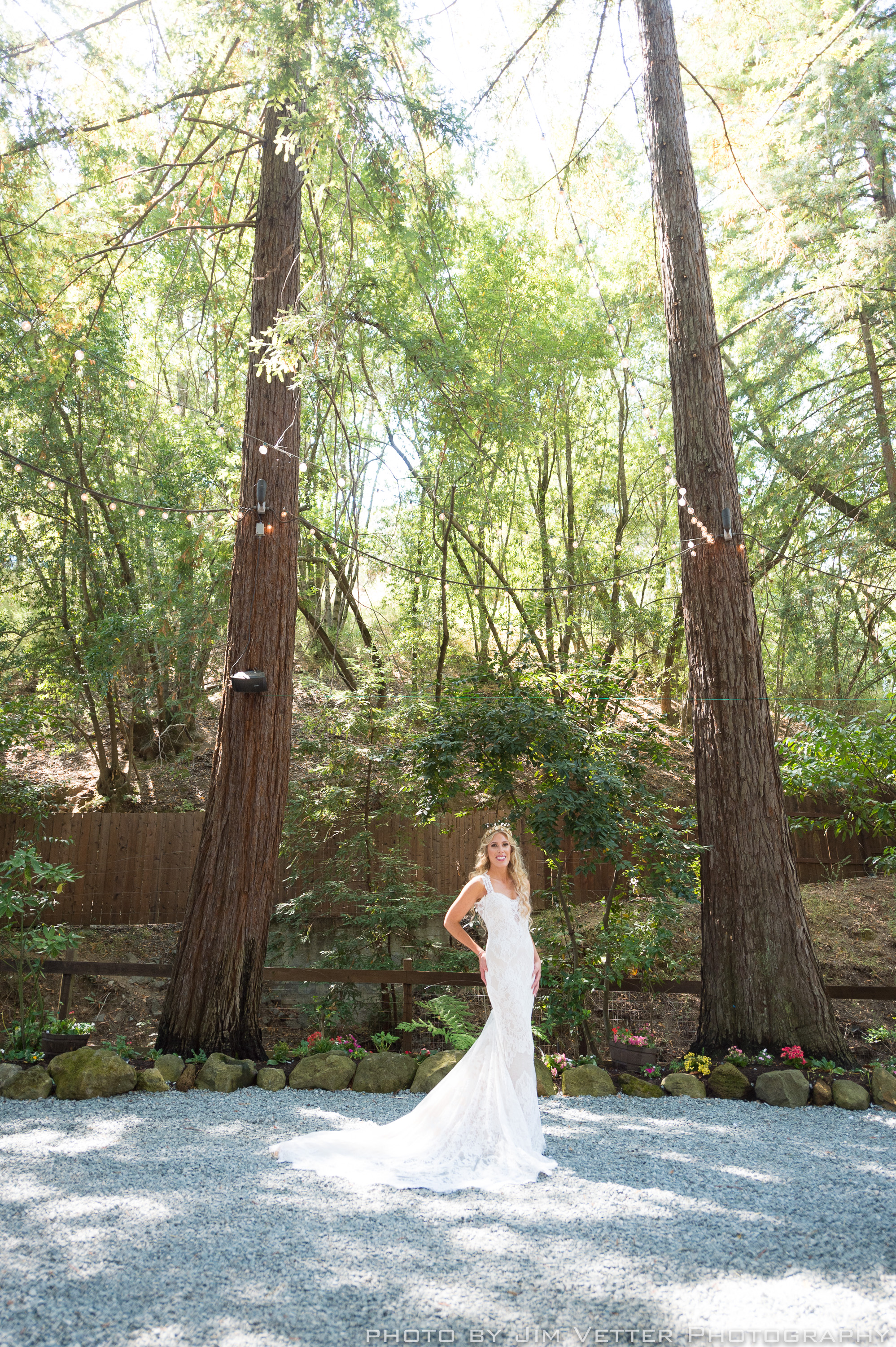 blond bride alone under redwoods daytime deer park villa