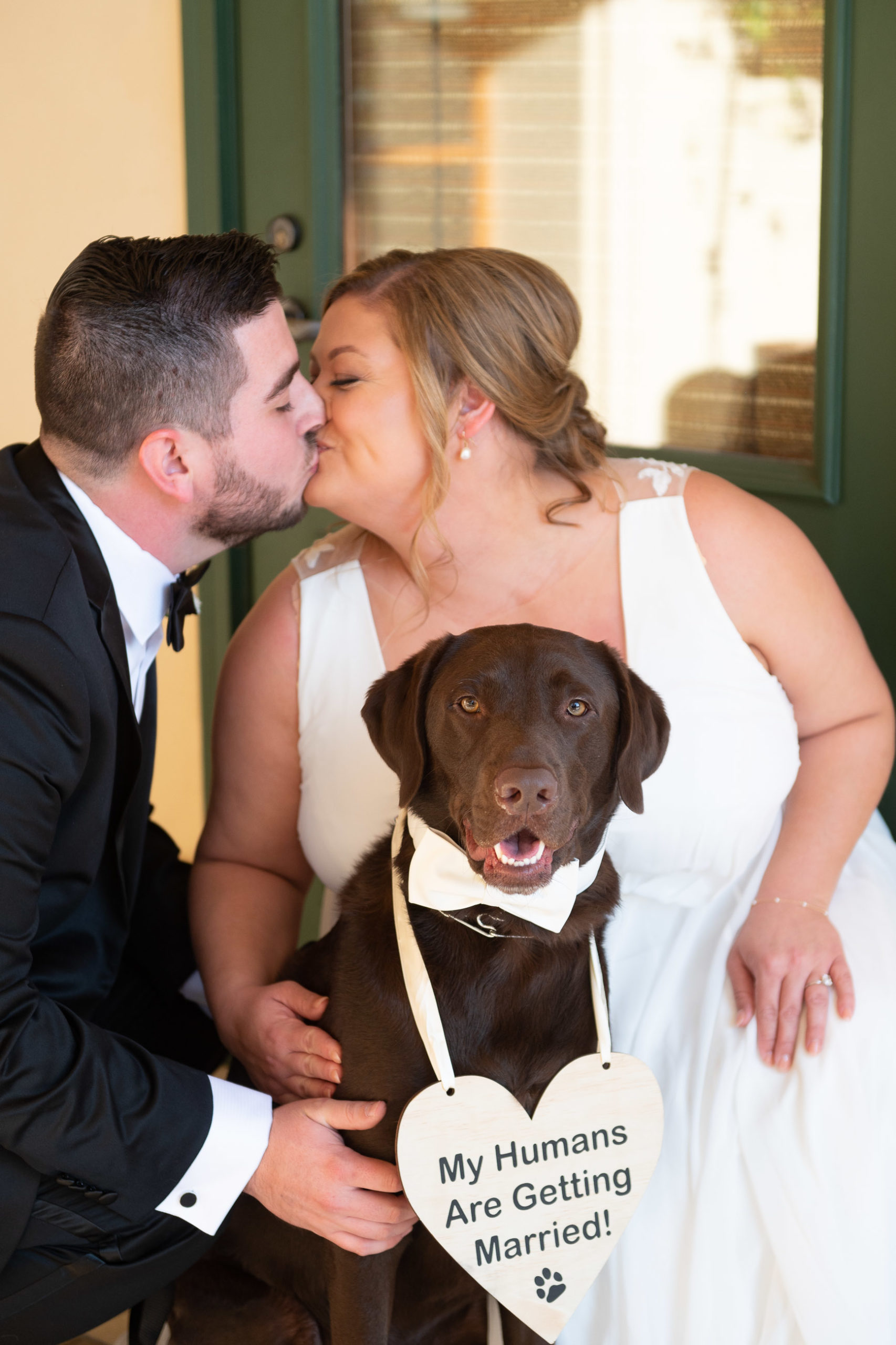 bride and groom with dog ring bearer