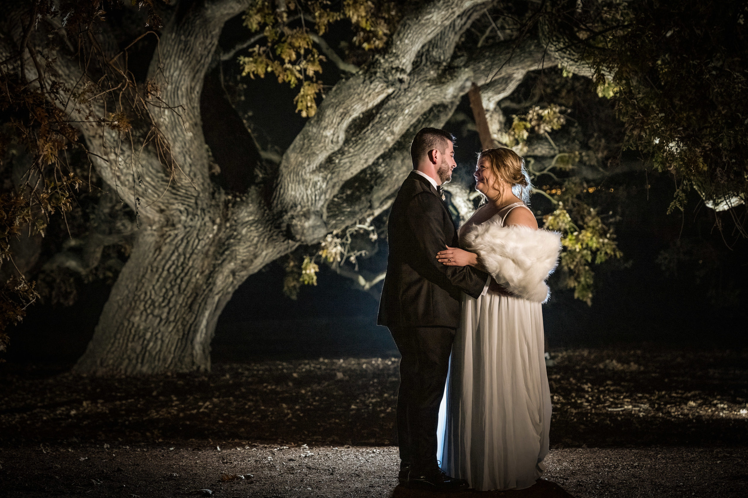 bride and groom under giant oak tree at ruby hill