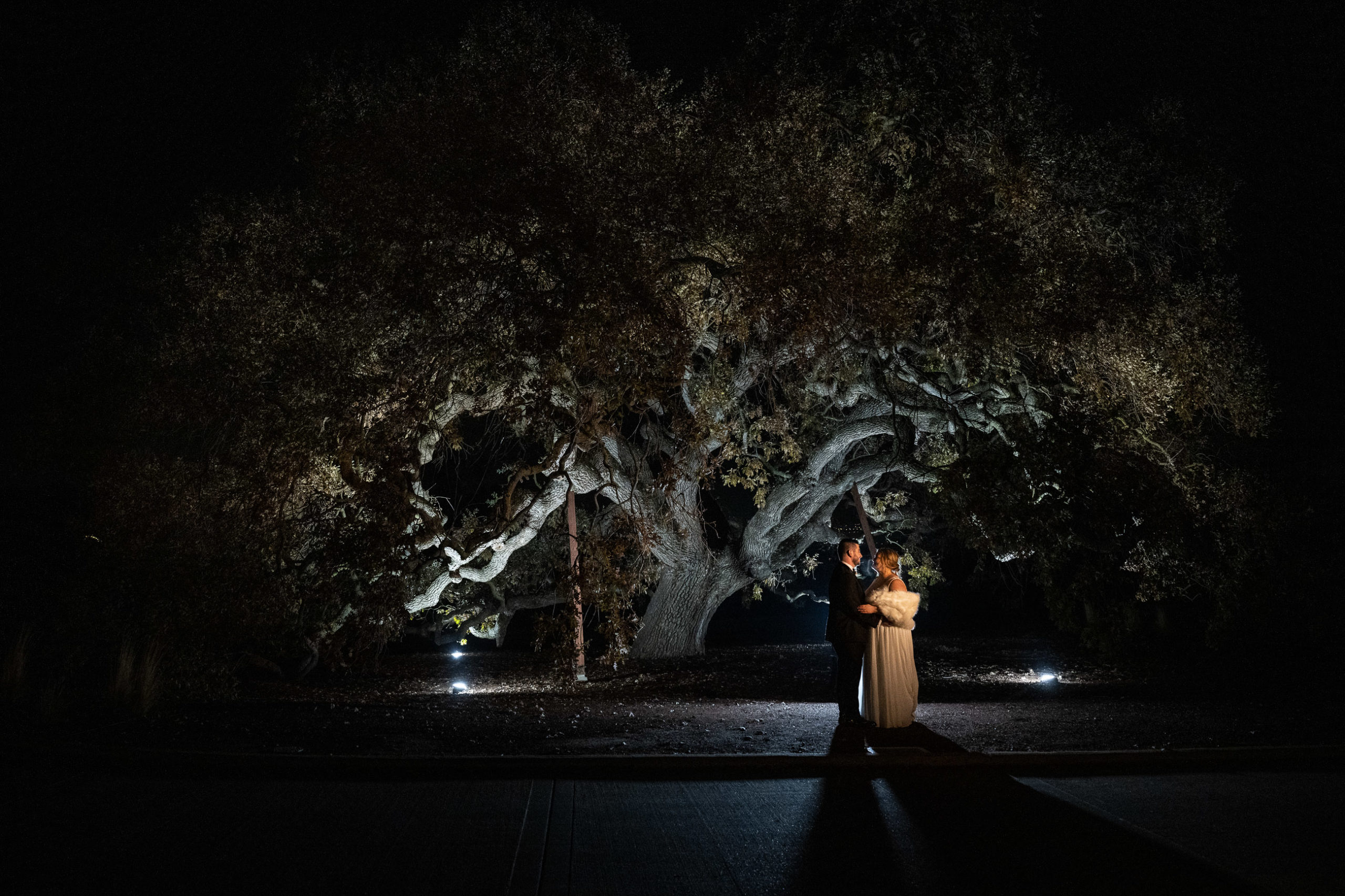 bride and groom under giant oak tree at ruby hill