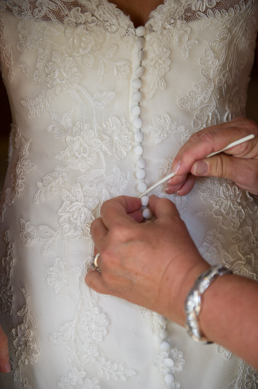 Wine and Roses Wedding in Lodi, California