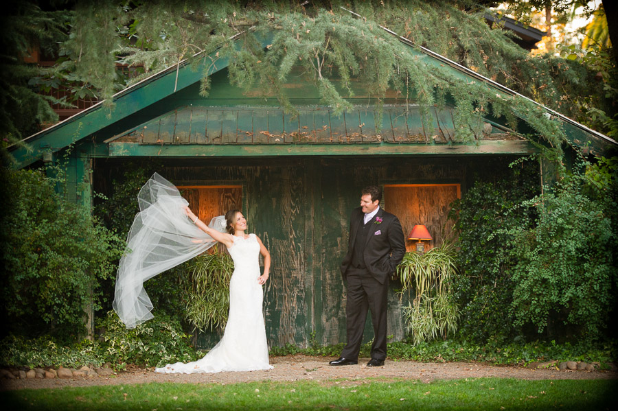 Wine and Roses Wedding in Lodi, California