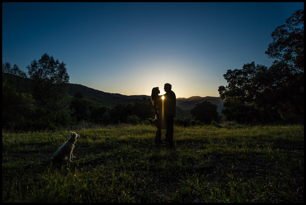 Santa_Cruz_Mountain_Engagement_Photos-14.jpg