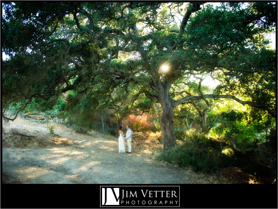 Woodside_Horse_Ranch_Wedding_Photos_Heather_Tom_0016.jpg