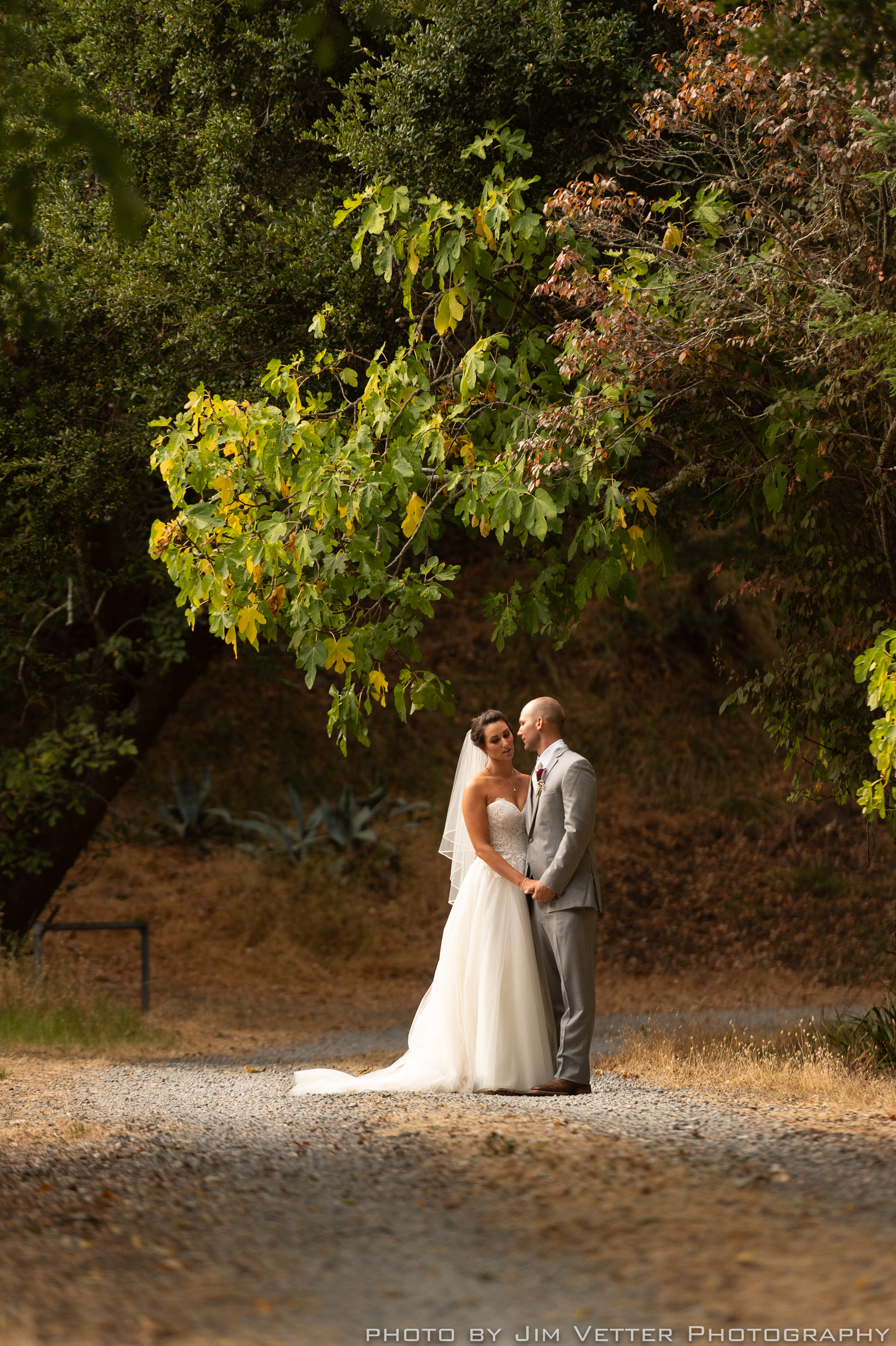 bride and groom alone on country trail