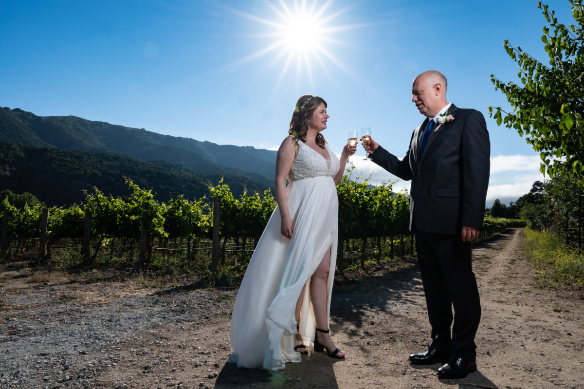 bride and groom in vineyard