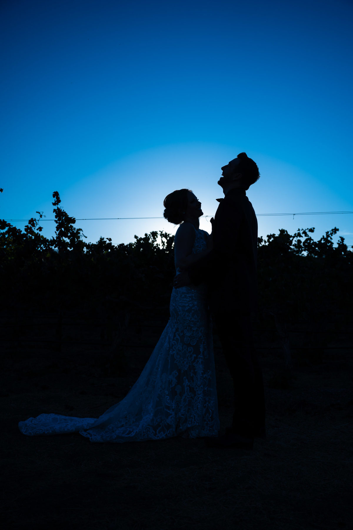 bride and groom silhouette