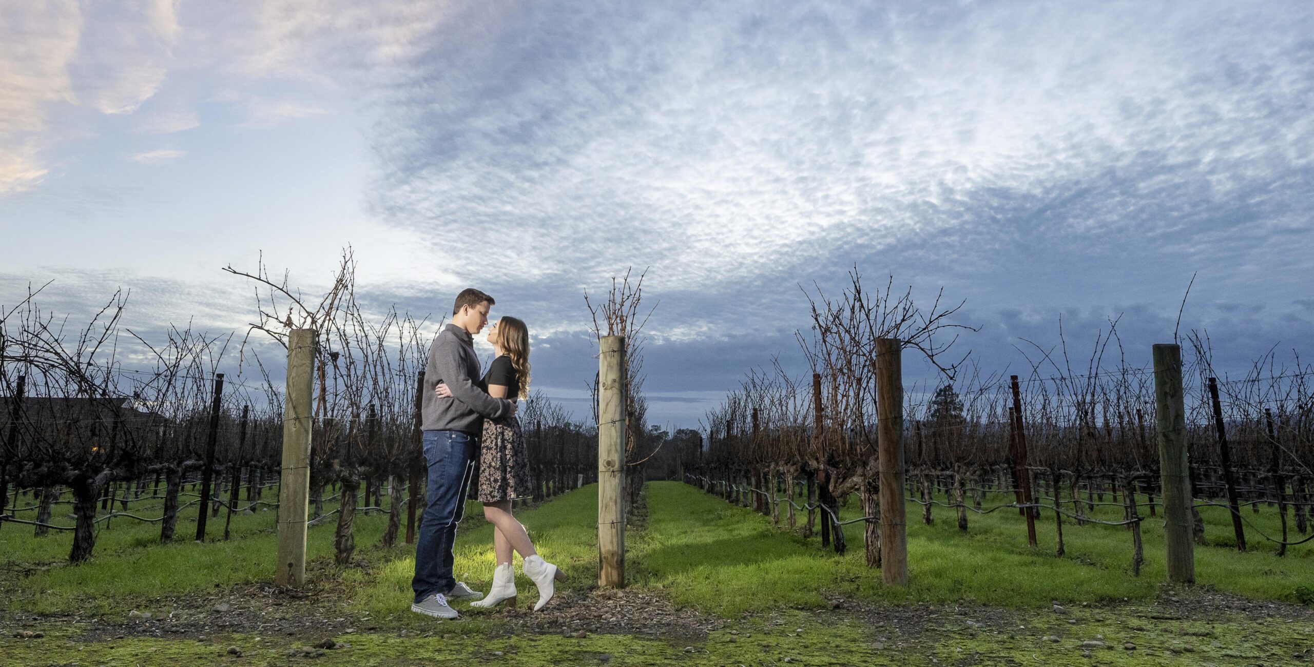 A couple kisses in the middle of a vineyard in california.