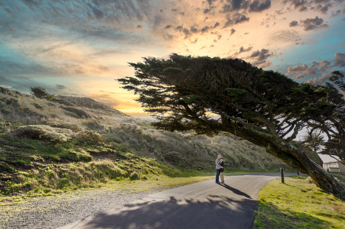 A person standing on a paved path under a large, wind-blown tree with a dramatic sunset sky in the background.