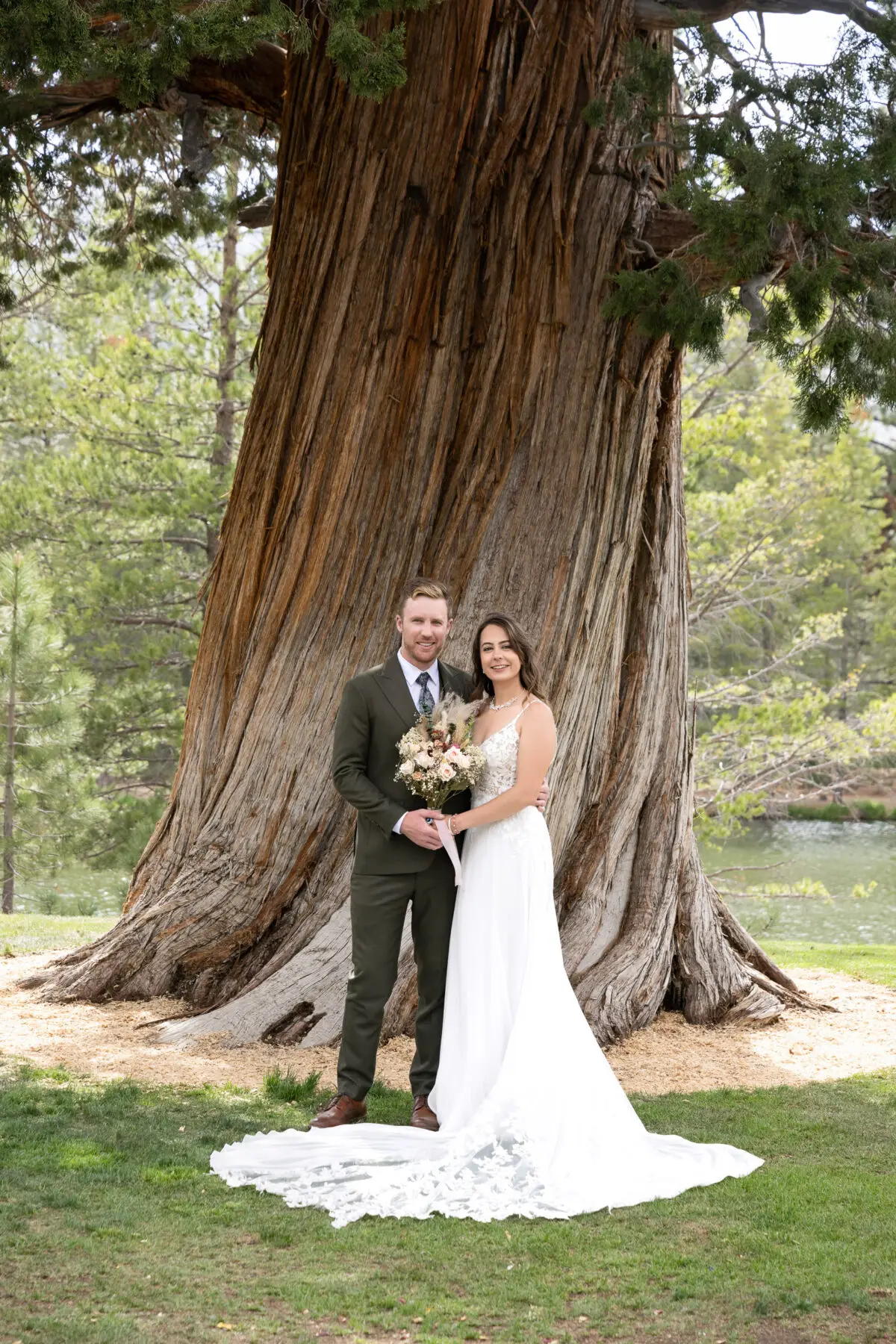 Bride and Groom portrait in front of tree